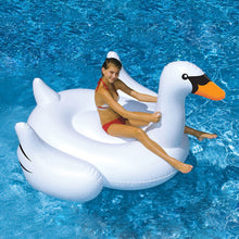 Load image into Gallery viewer, Swimline Water Toys 90621