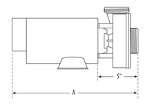 Load image into Gallery viewer, Waterway Hi-Flow, 2Sp, 48fr, 2”x 2” 3421621-10 - hot-tub-supplies-canada.myshopify.com